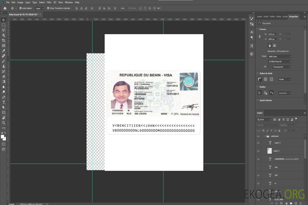 Visa BÉNIN template